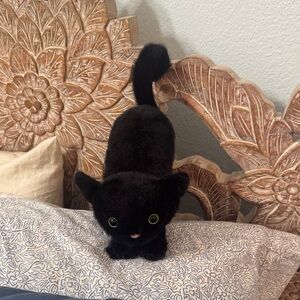 NWT Jellycat Spookipaws Cat Black Cat Halloween